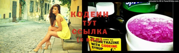 мет Ельня