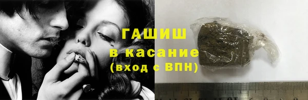 мет Ельня