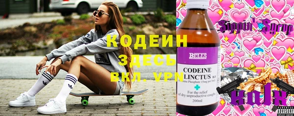 мет Ельня