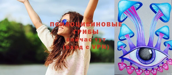мет Ельня