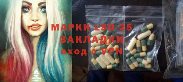 мет Ельня