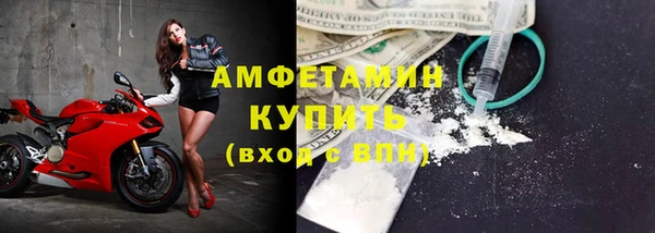 мет Ельня