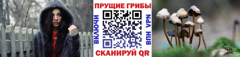 Псилоцибиновые грибы ЛСД  Купить  Заозёрск 